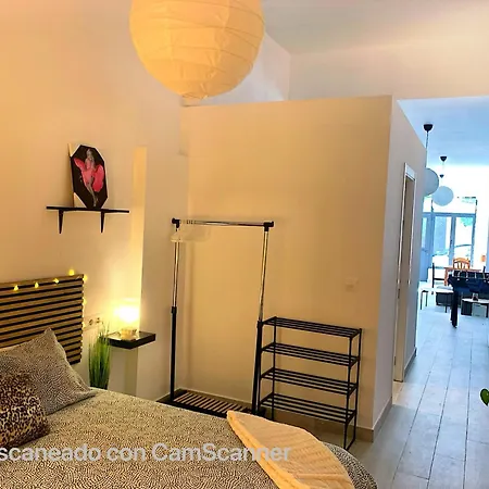 Violeta Loft A With Chill Out Terrace Siviglia