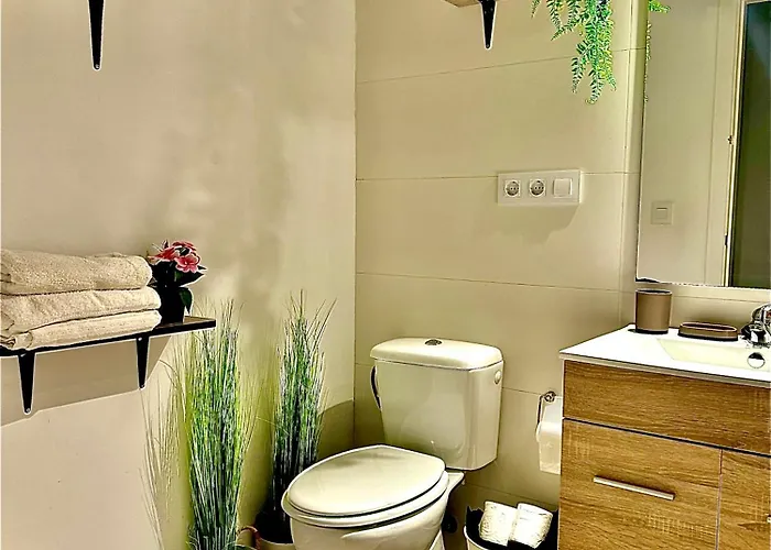 Violeta Loft A With Chill Out Terrace Seville